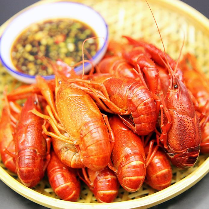 朱火火龙虾壹号